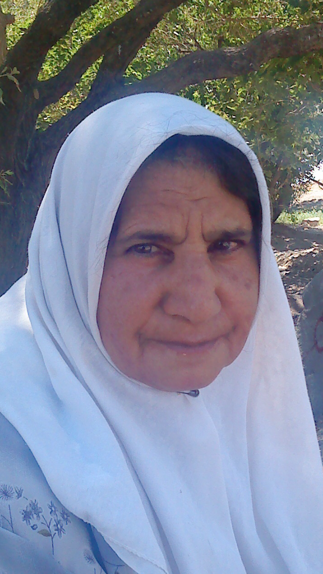 تصویری از گوهر شاهمیرزایی