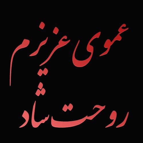 تصویری از محمد علی فتحی رکابی