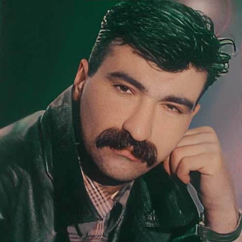 تصویری از سید حمید حمیدی