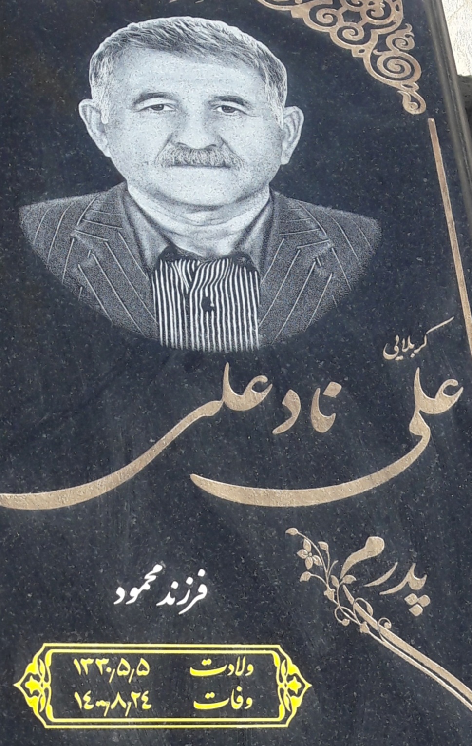 تصویری از علی نادعلی