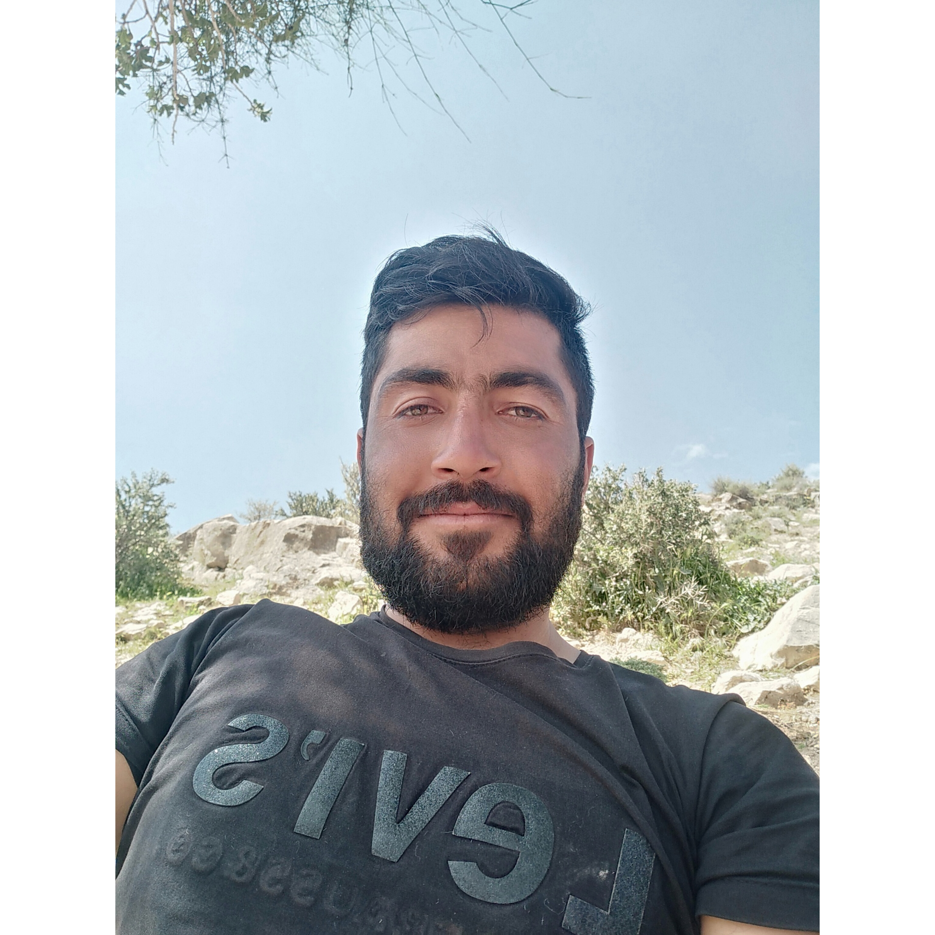 تصویری از علیرضا قاسمی