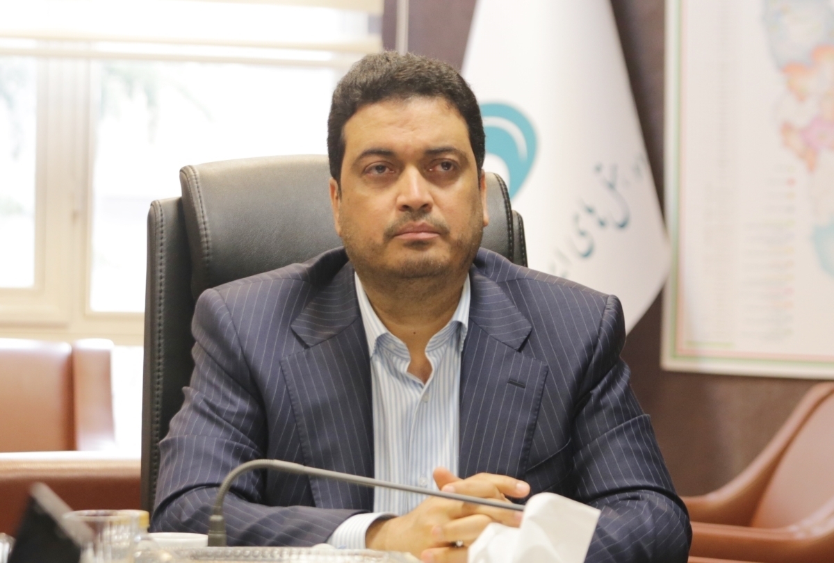 تصویری از دکتر محمدمهدی انصاری
