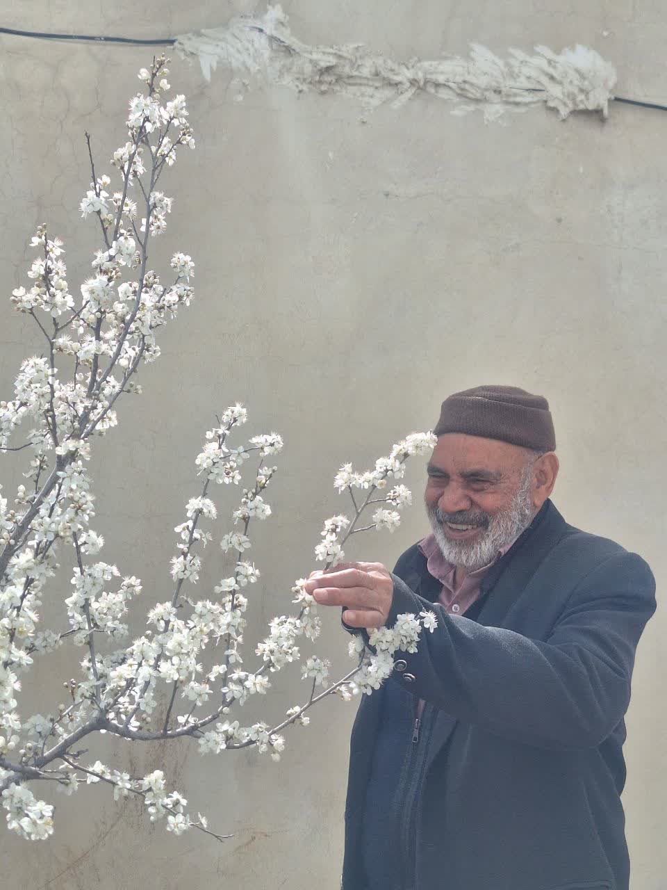 تصویری از حاج علی صداقت طلب(کلاتی)