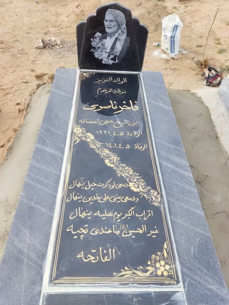 تصویری از فاخر ناصری