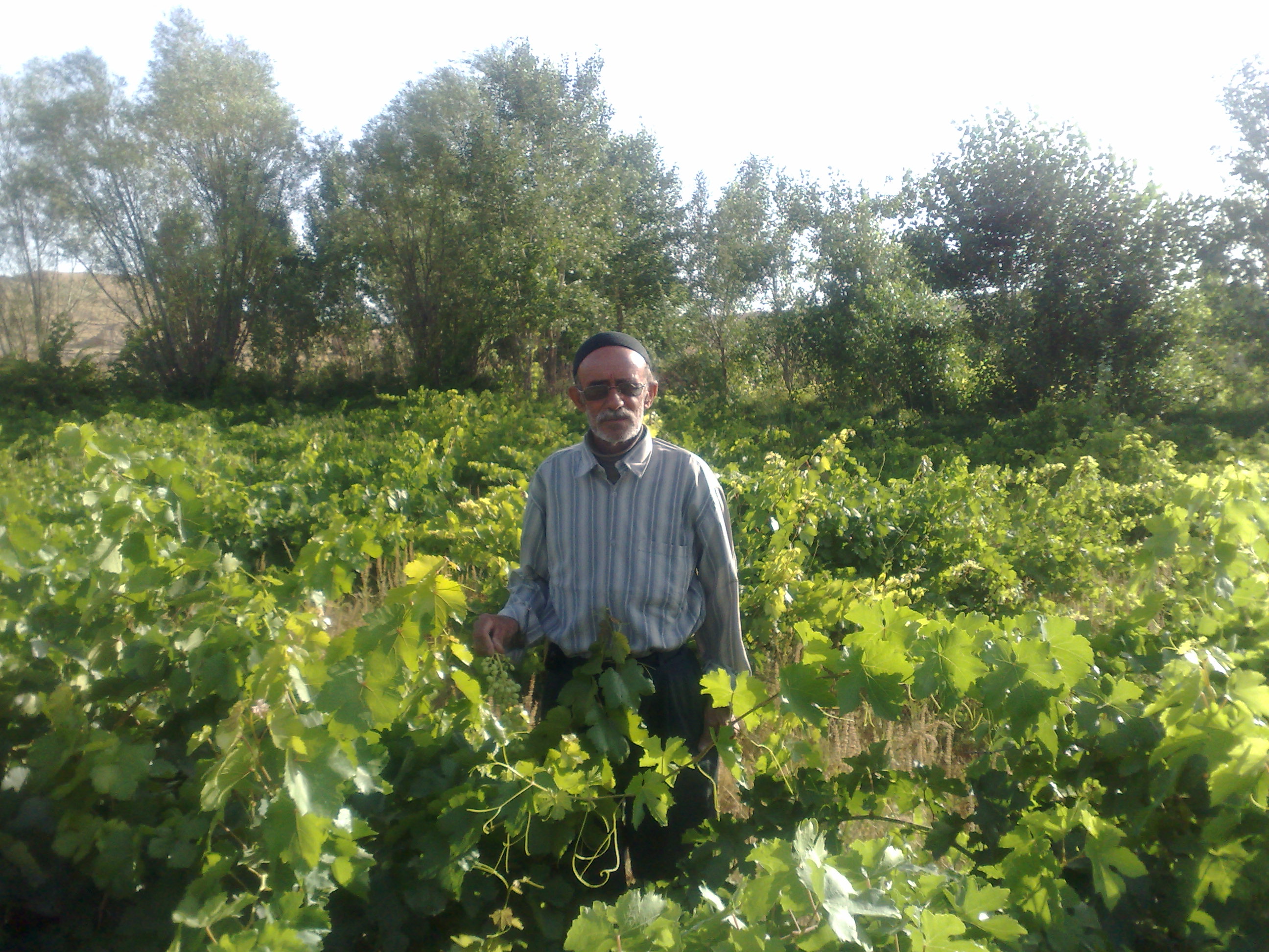 تصویری از خداکرم صادق نیا