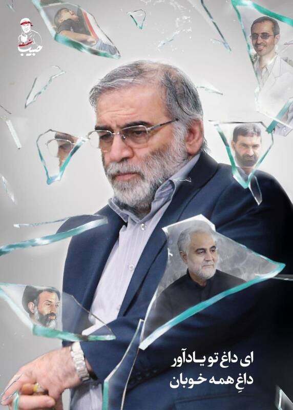 تصویری از محسن فخری زاده