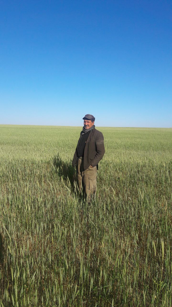 تصویری از مهدی زهدی ربیعی
