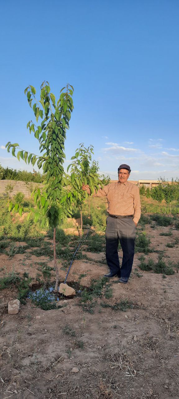 تصویری از مهدی زهدی ربیعی