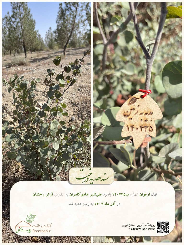 تصویری از علی شیر هادی کامران
