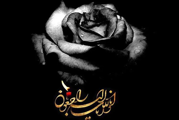  خانم قاسمی