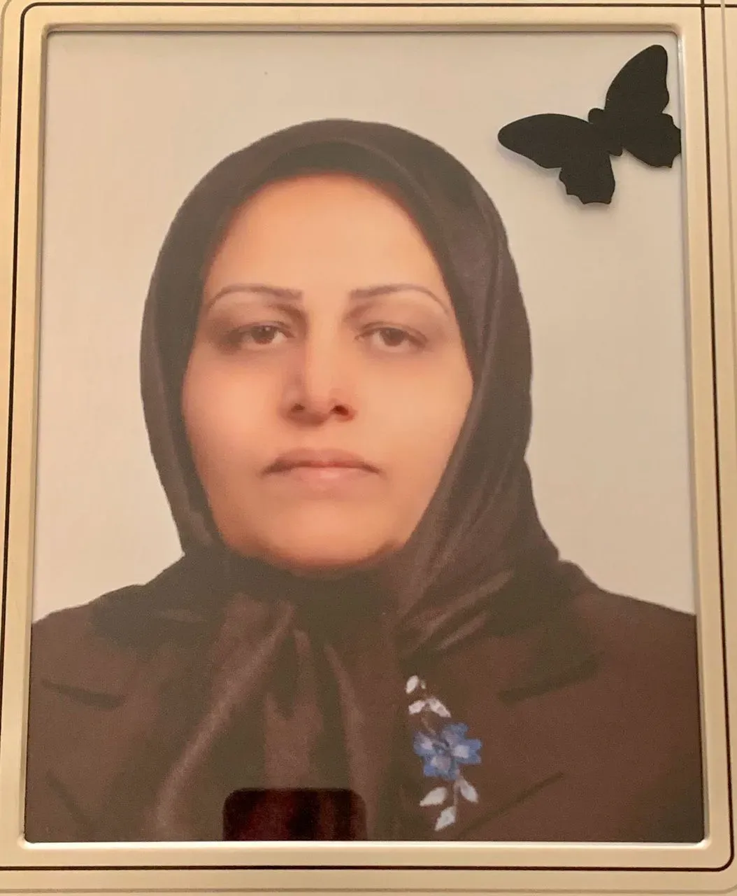  پروانه شیروانی