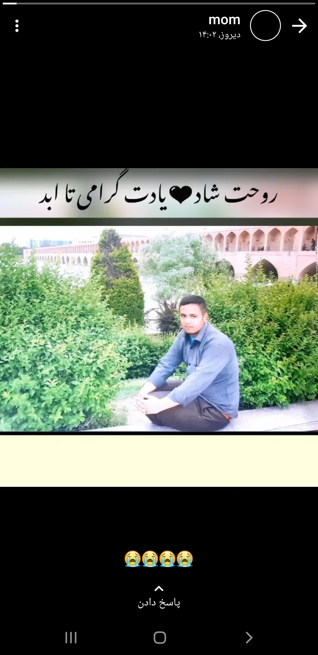  مشهدی علی چمران(بادبرین)