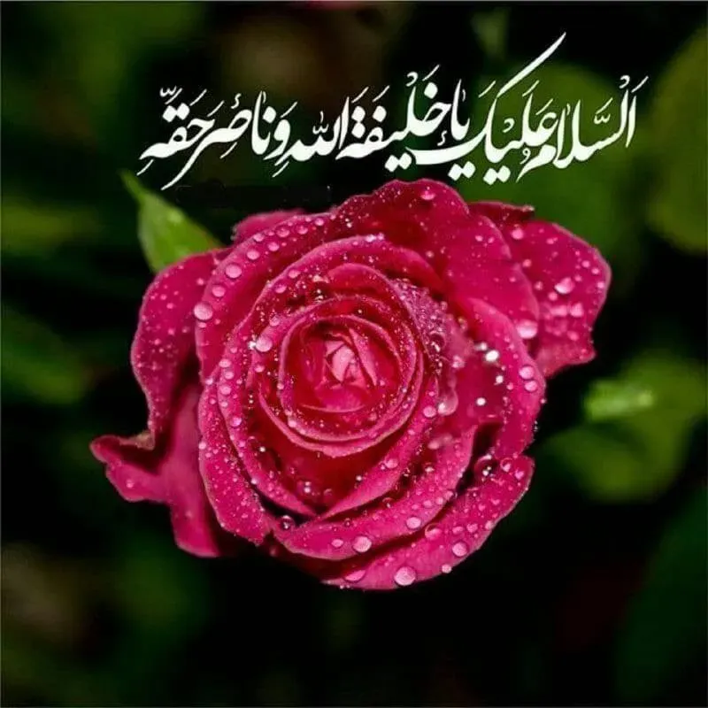 شهید آرشام ایرانی