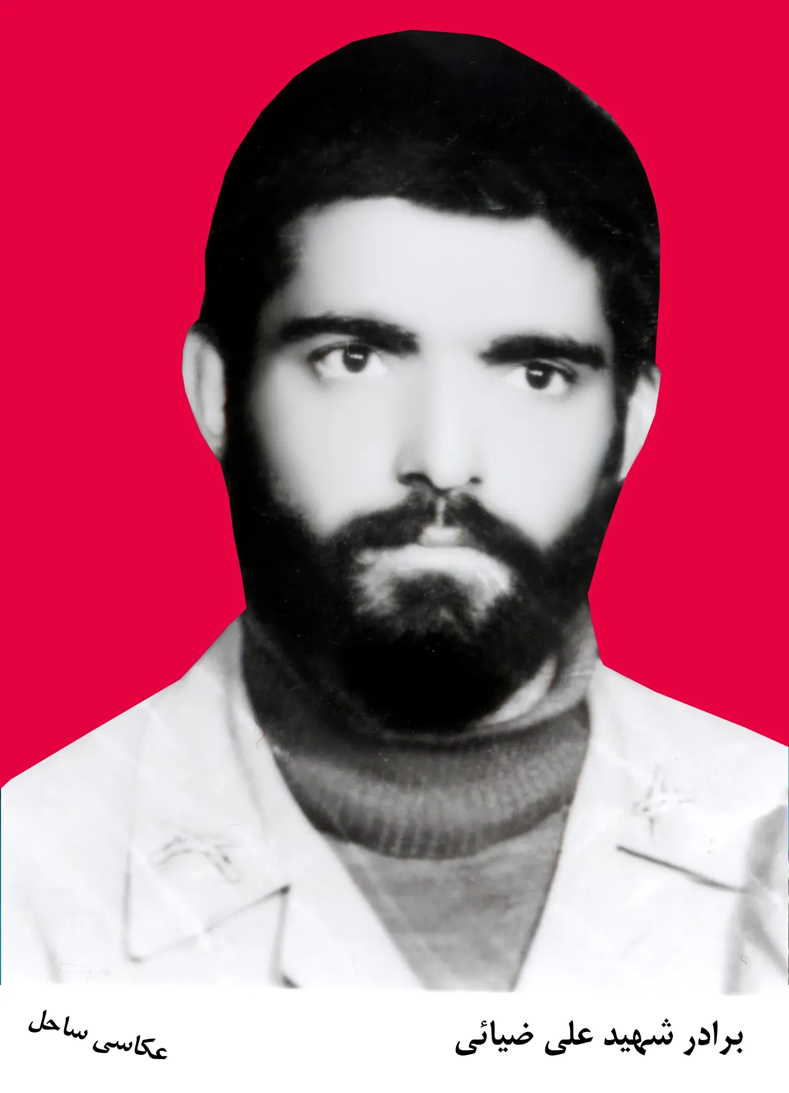شهید علی ضیایی میاب
