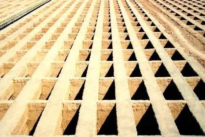 مرحومه امريا خامسيان