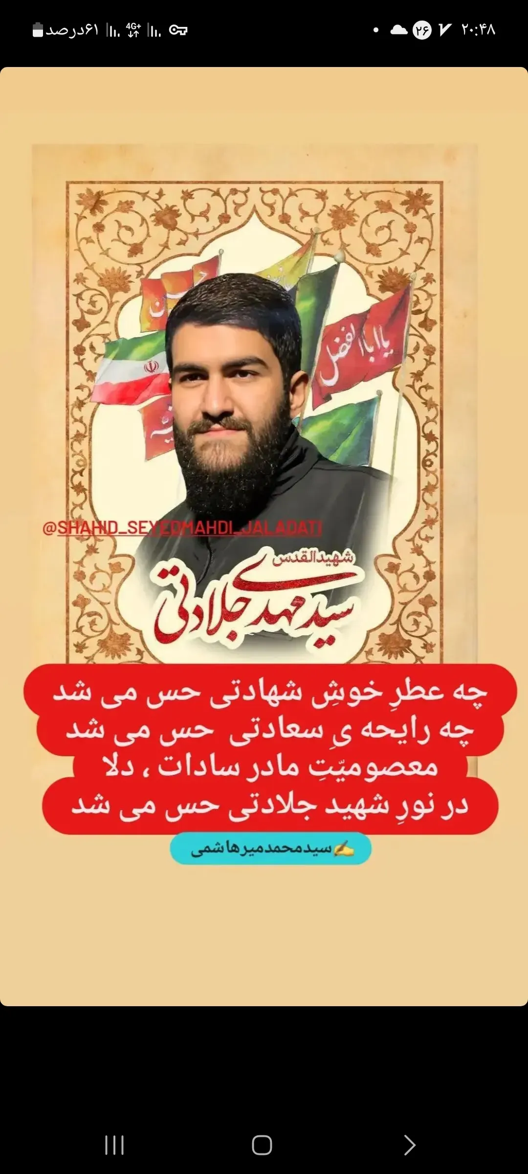 شهید مدافع حرم سید مهدی جلادتی