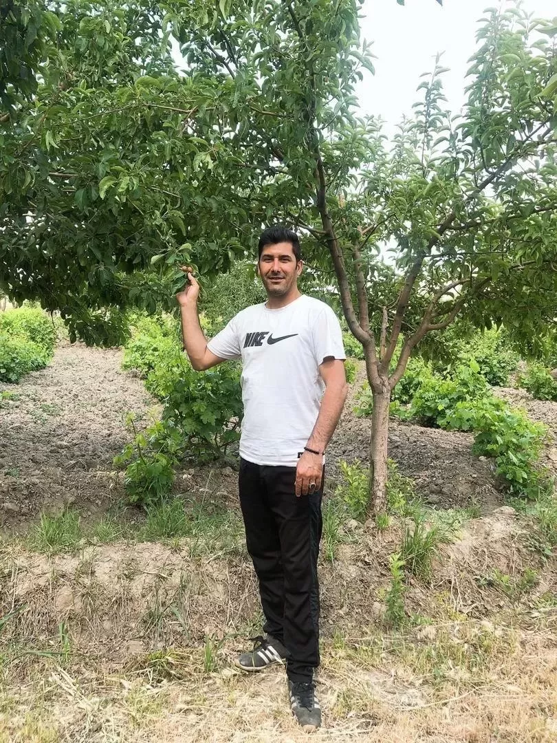 شادروان مجید رضائی