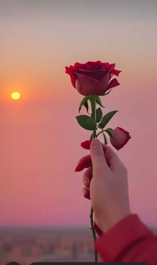 شادروان امیدی امیدی