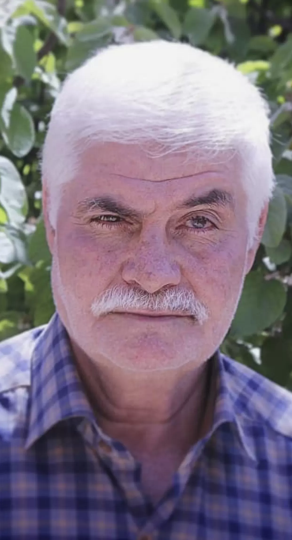 شادروان محمد کمالی پور