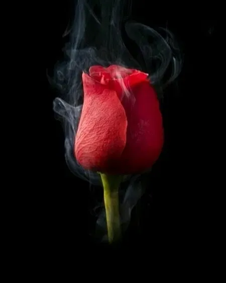 مرحومه سیده صفیه حسینی