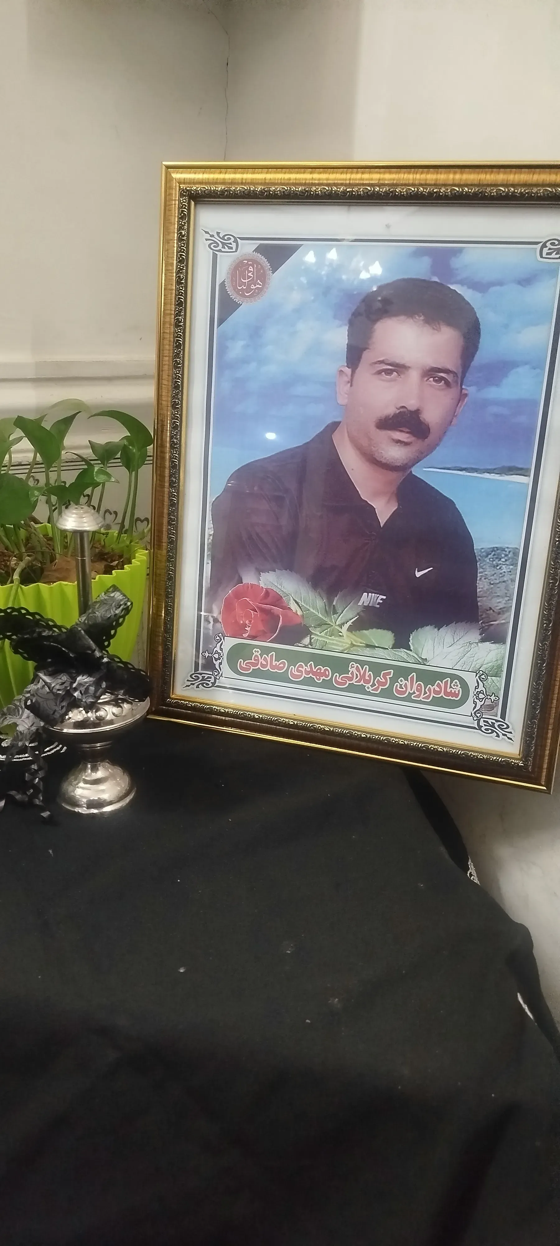  مهدی صادق کاریزنو
