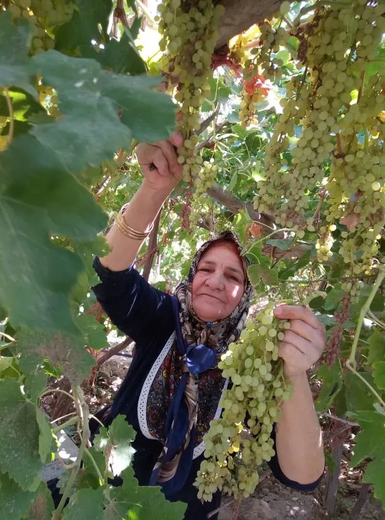مرحومه حاجیه خانم زینب خاتون احمدی فروغ