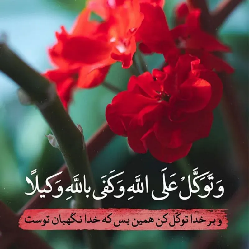 مرحومه مرجان قربانی