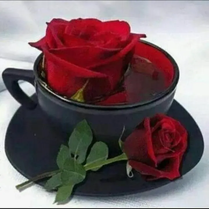 مرحومه صنعت خانم اشرفی