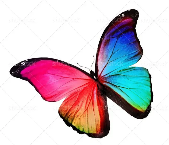 مرحومه سمیه منتظریون