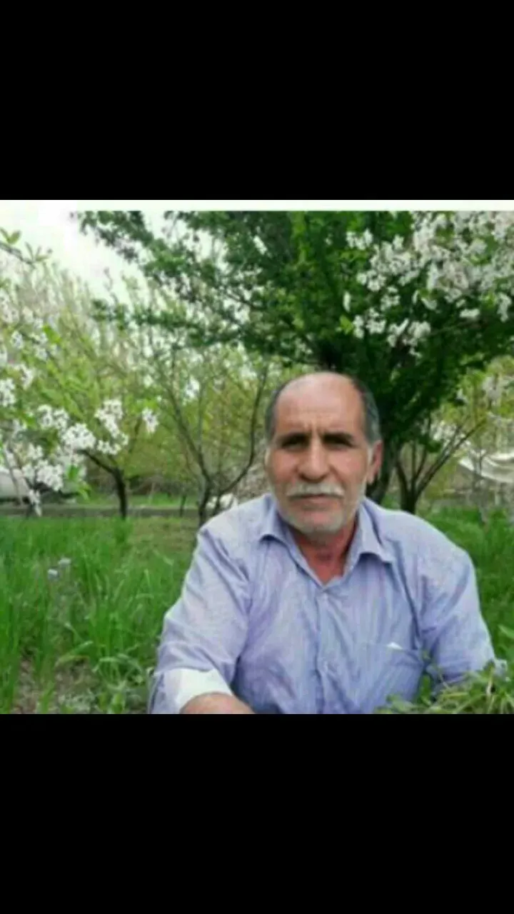 شادروان محمدعلی سوری