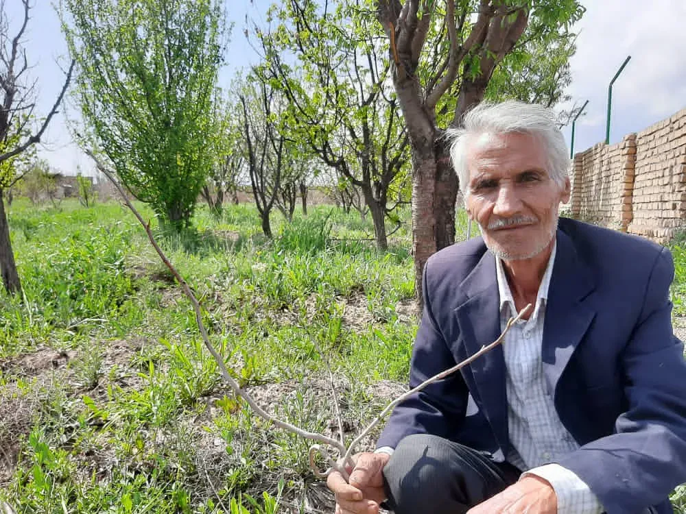 شادروان حاج محمدعلی احمدی صنوبری