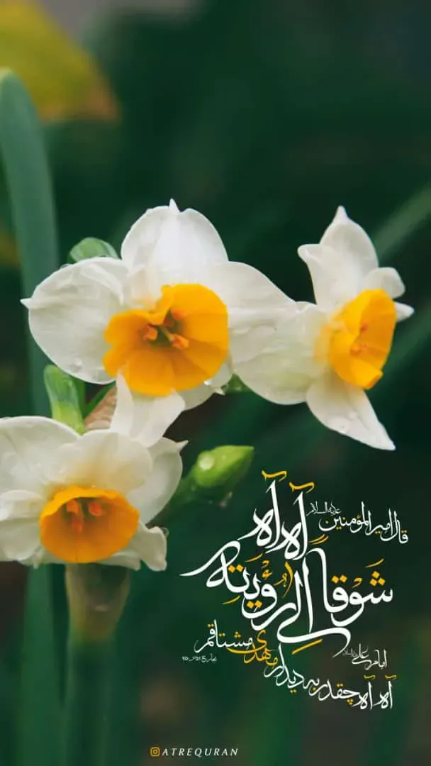 مرحومه فهیمه تفرشی