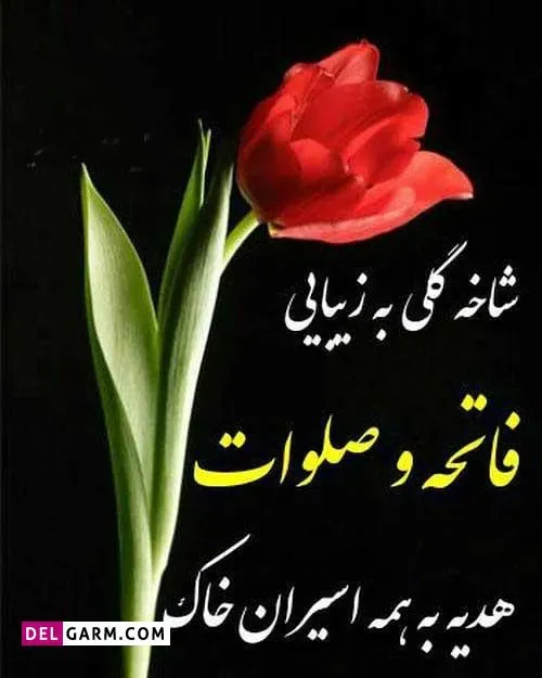 مرحومه مادر بزرگ عزیزمان
