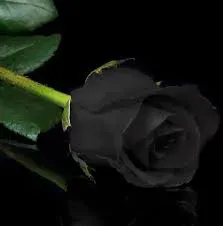 مرحومه طاهره آل اسحاقی