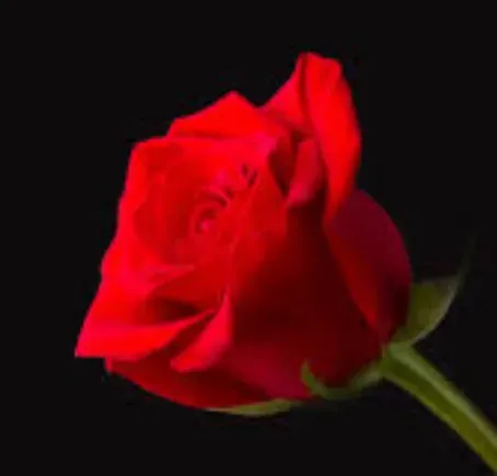 مرحومه کبری شیبانلو