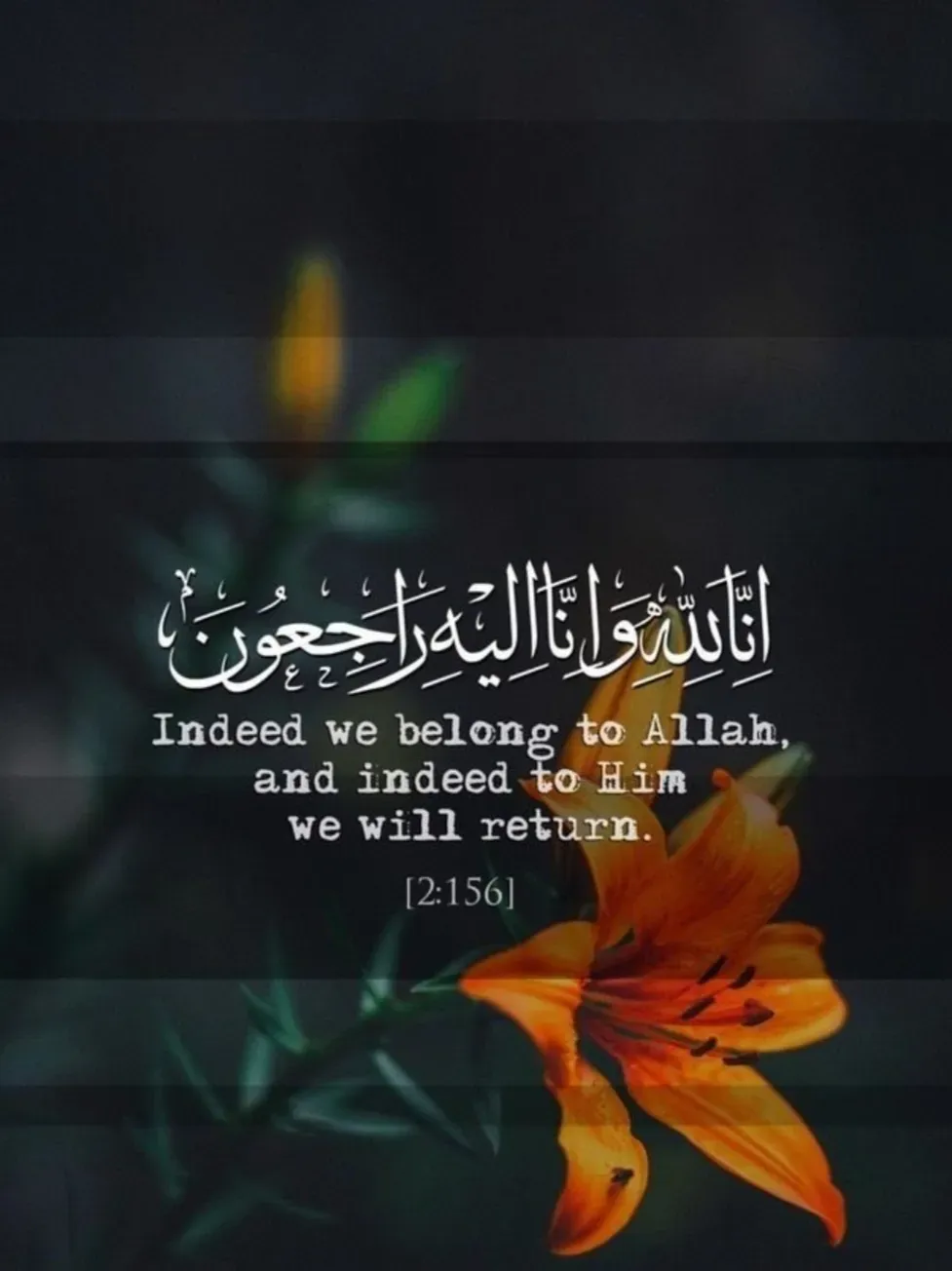 مرحومه نسرین سپنج پور