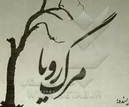 مرگ رؤیاها: چرا بعضی رؤیاها زنده نمیمانند؟