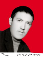 شهید عباس علیوندمرندی اصل