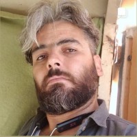 شادروان حامد فضل الهی