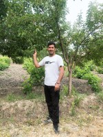 شادروان مجید رضائی