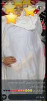 شادروان نرگس سادات حسینی