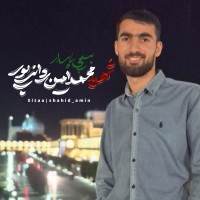 شهید محمد امین ردانی پور