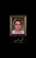 کربلایی علیرضا محمودی